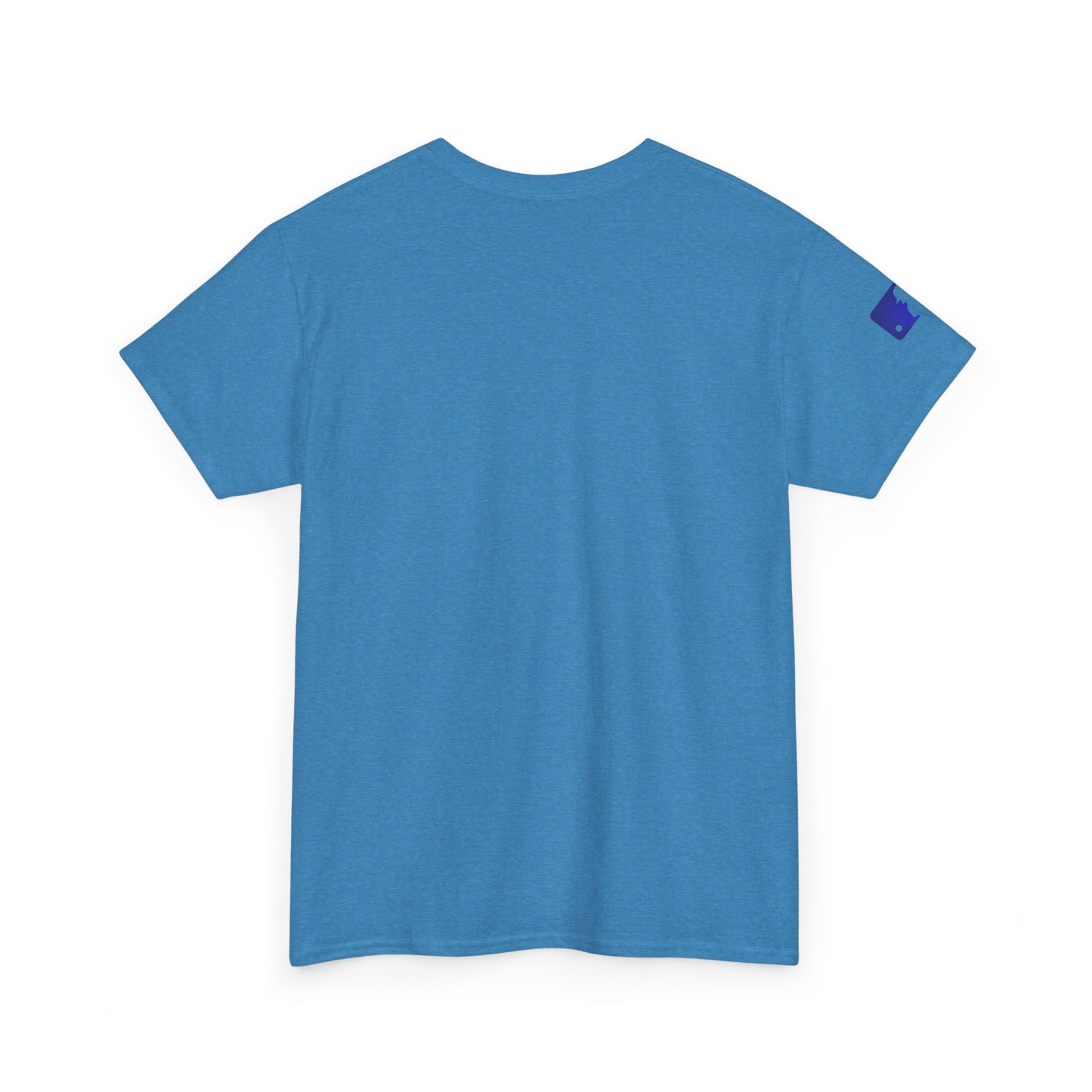 Phillie s t-shirt for men and women Unisex Heavy Cotton Tee S-5XL Why pay more??