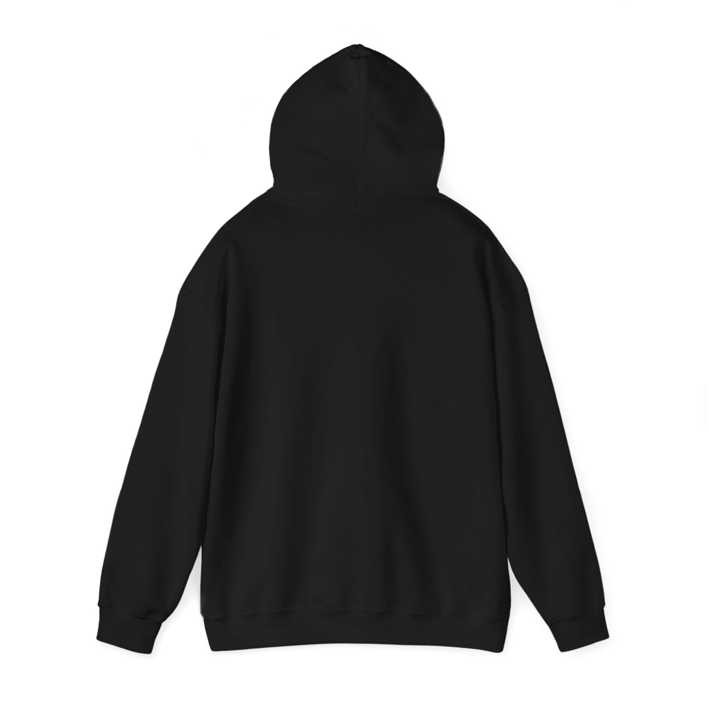 2025 LIX Super Bowl Champions Eagles SWEATSHIRT Gift S-5XL Hooded Sweatshirt