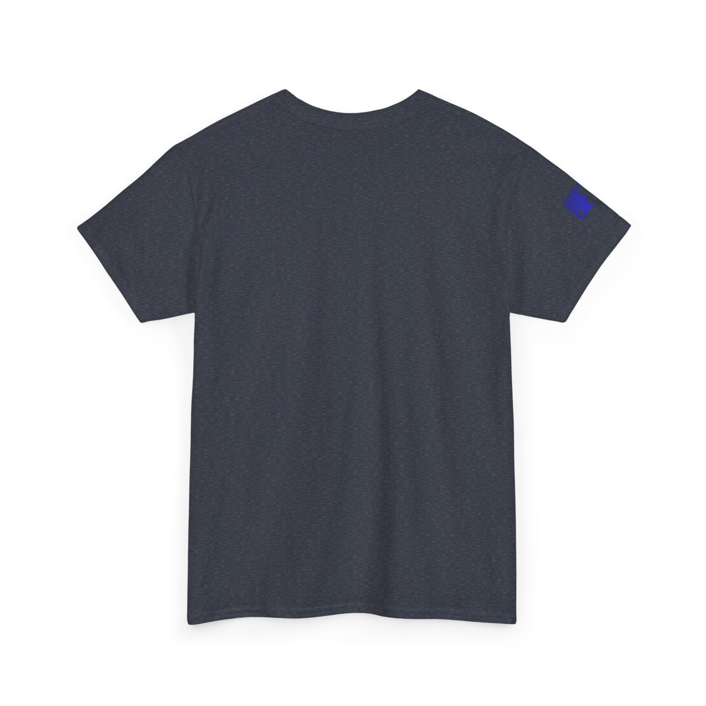 Phillie s t-shirt for men and women Unisex Heavy Cotton Tee S-5XL Why pay more??