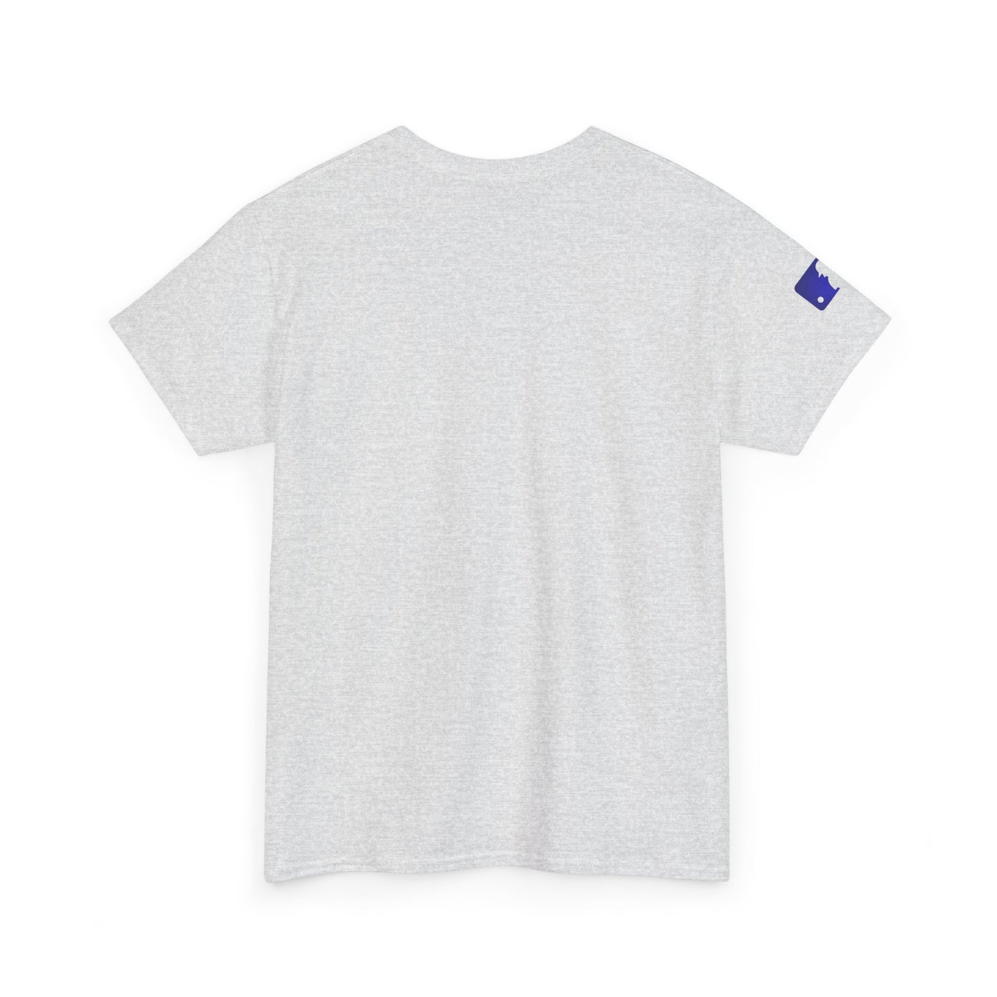 Phillie s t-shirt for men and women Unisex Heavy Cotton Tee S-5XL Why pay more??