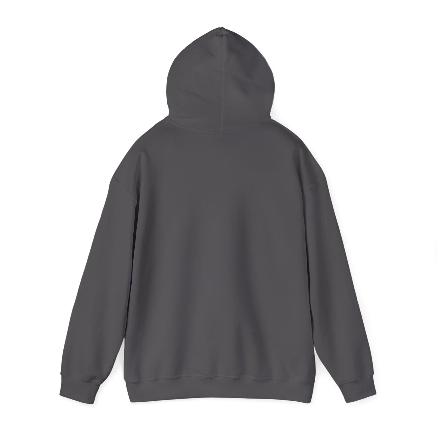2025 LIX Super Bowl Champions Eagles SWEATSHIRT Gift  S-5XL Hooded Sweatshirt